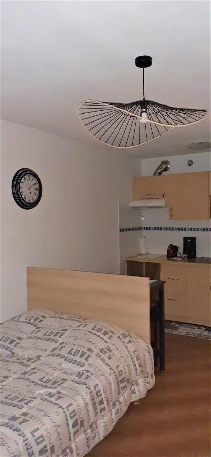 Agreable Logement Proche De La Gare Et Du Polygone Lejlighed Béziers Eksteriør billede